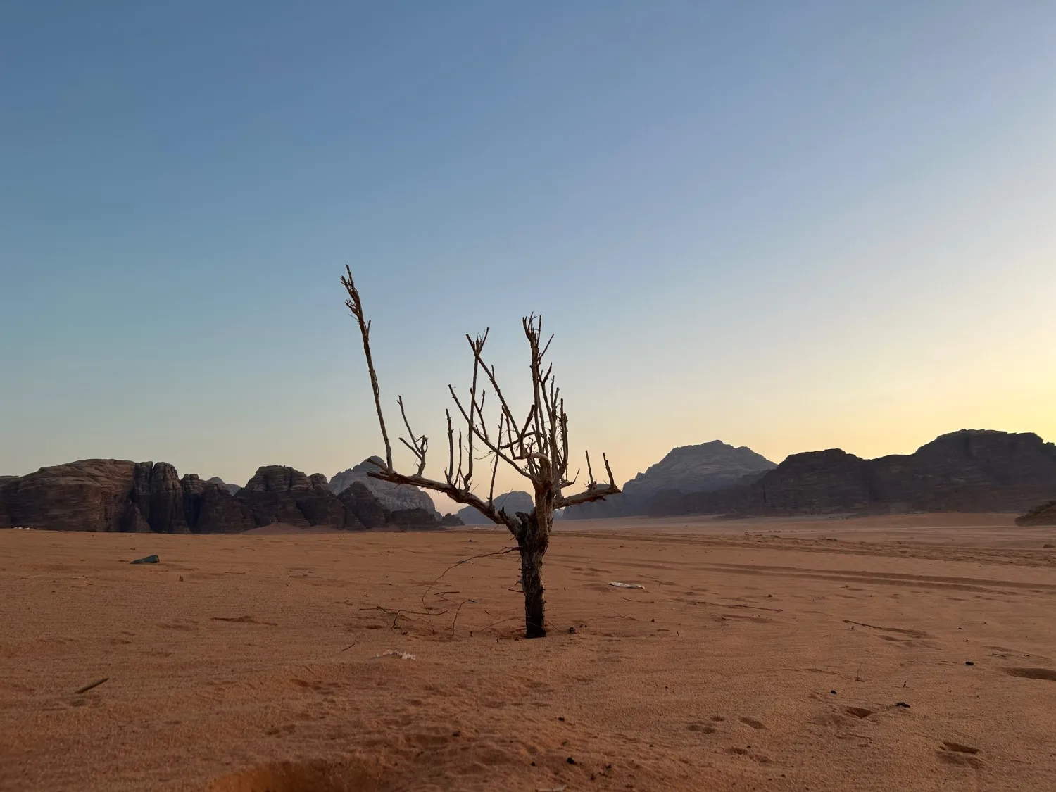 Jordanie, Wadi Rum boom